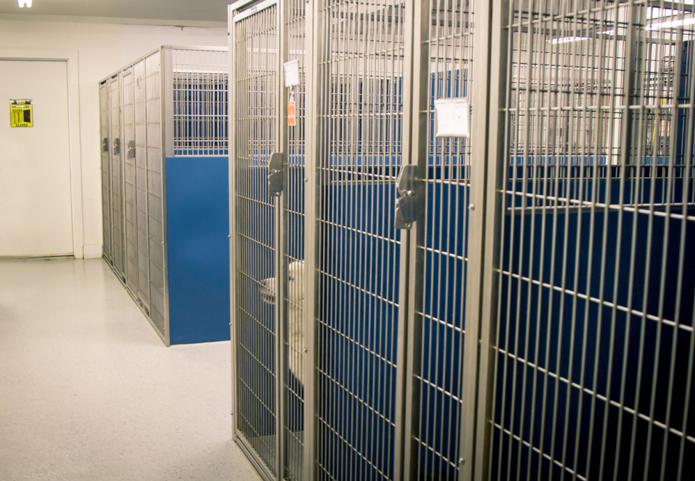 Northside Veterinary Hospital Eunice, Louisiana 70535 > Our Services